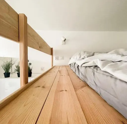 Small With Entresol 公寓 *